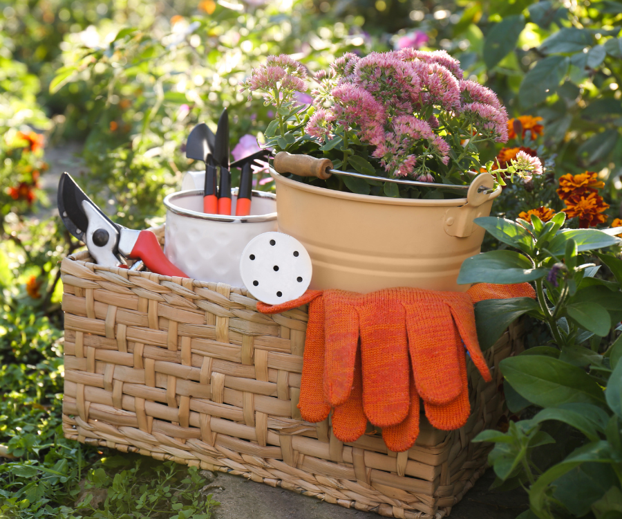 basket with garden tools