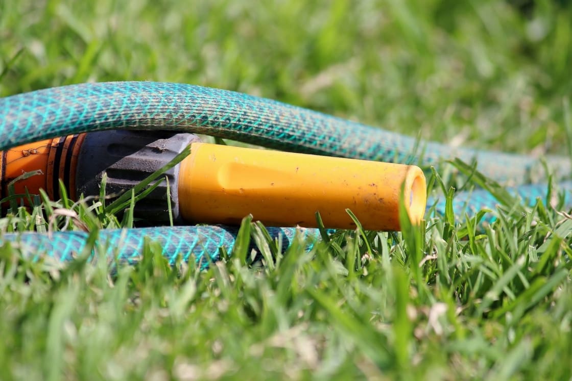 Garden hose laying on grass